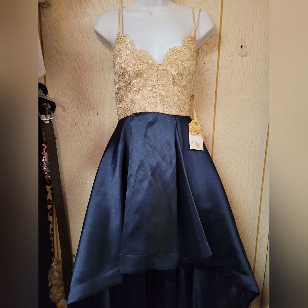 Elegant Gold and Navy High Low Dress